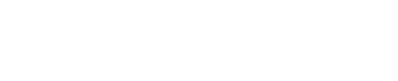 EUROMARK safe